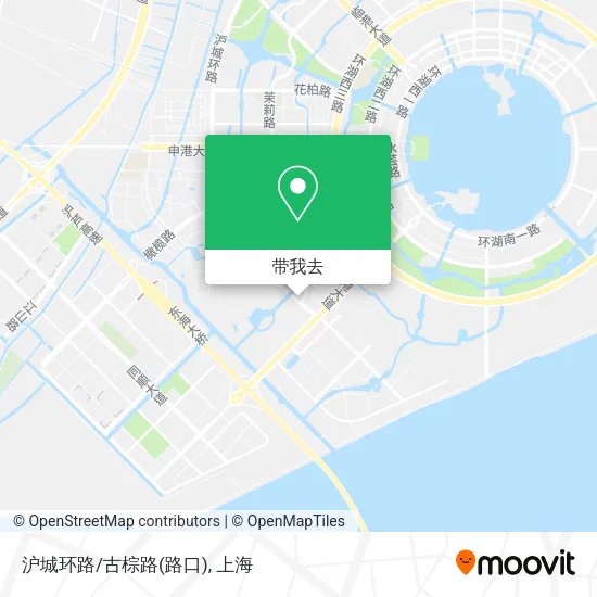 沪城环路/古棕路(路口)地图