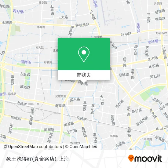 象王洗得好(真金路店)地图