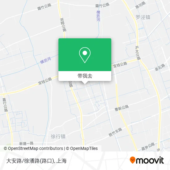 大安路/徐潘路(路口)地图
