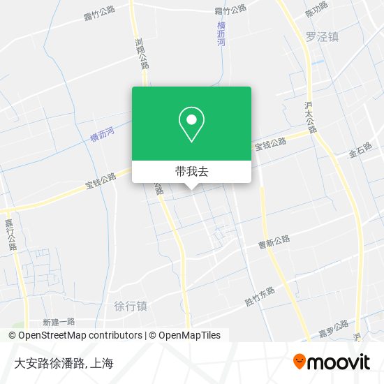 大安路徐潘路地图