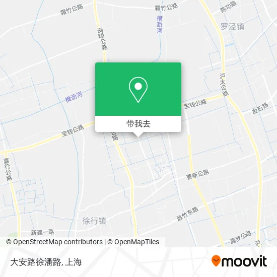 大安路徐潘路地图