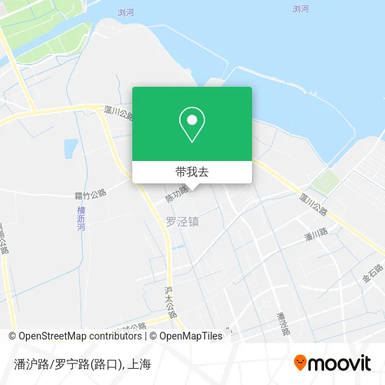 潘沪路/罗宁路(路口)地图