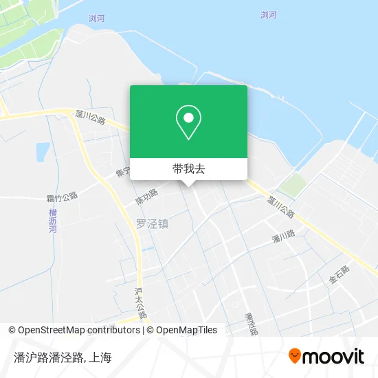 潘沪路潘泾路地图