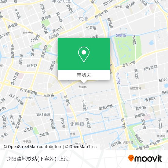 龙阳路地铁站(下客站)地图