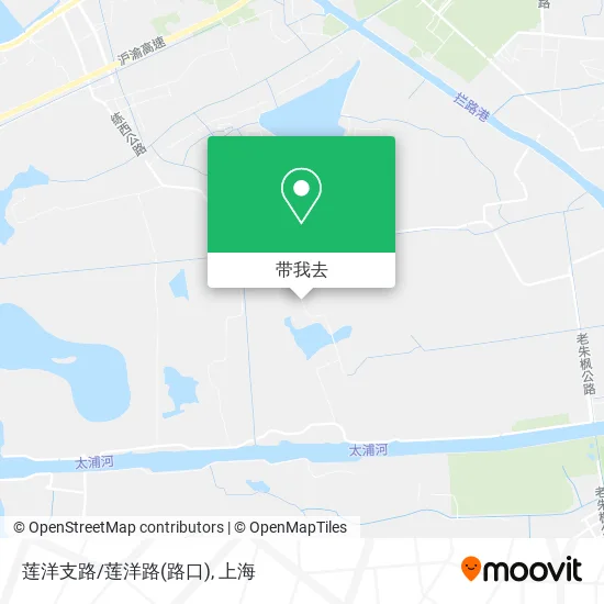 莲洋支路/莲洋路(路口)地图