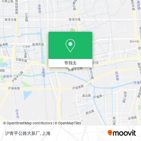 沪青平公路大新厂地图