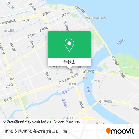 同济支路/同济高架路(路口)地图