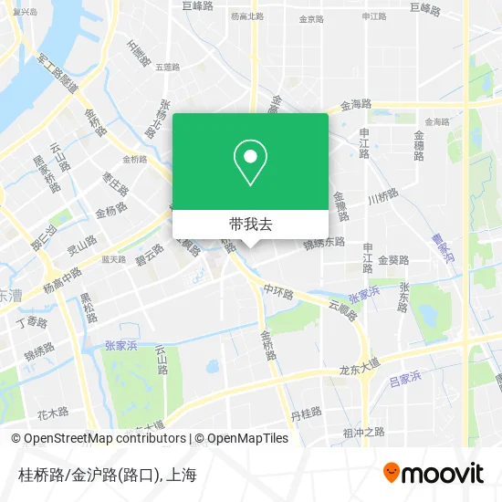 桂桥路/金沪路(路口)地图