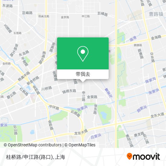 桂桥路/申江路(路口)地图