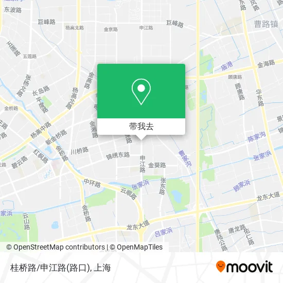 桂桥路/申江路(路口)地图