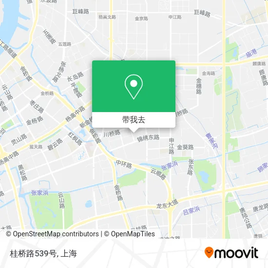 桂桥路539号地图