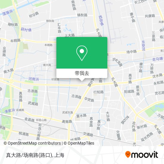 真大路/场南路(路口)地图