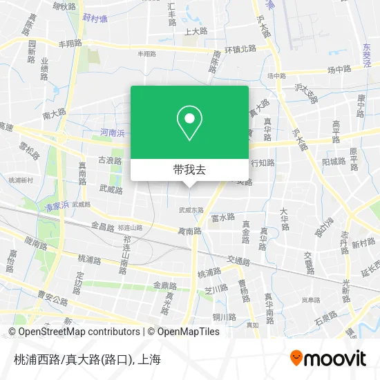 桃浦西路/真大路(路口)地图