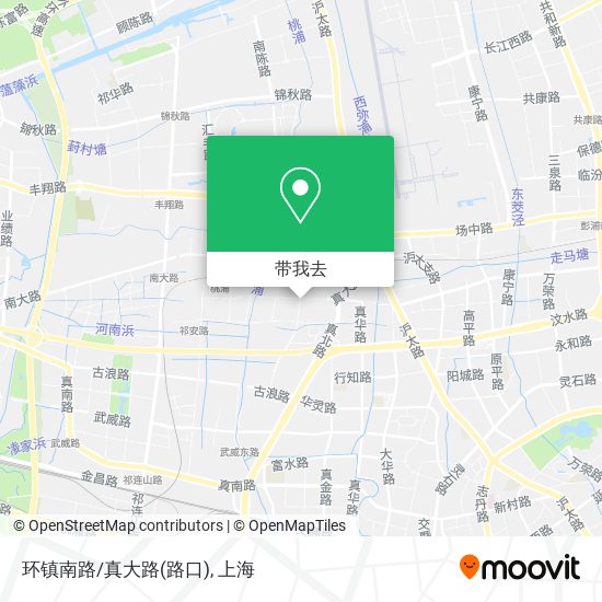 环镇南路/真大路(路口)地图