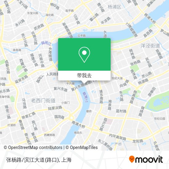 张杨路/滨江大道(路口)地图