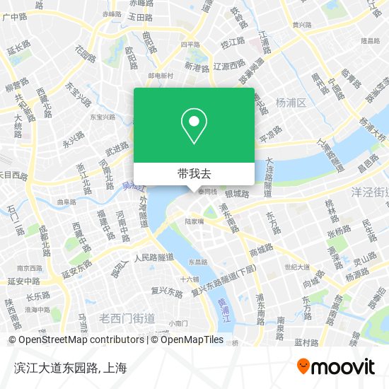 滨江大道东园路地图