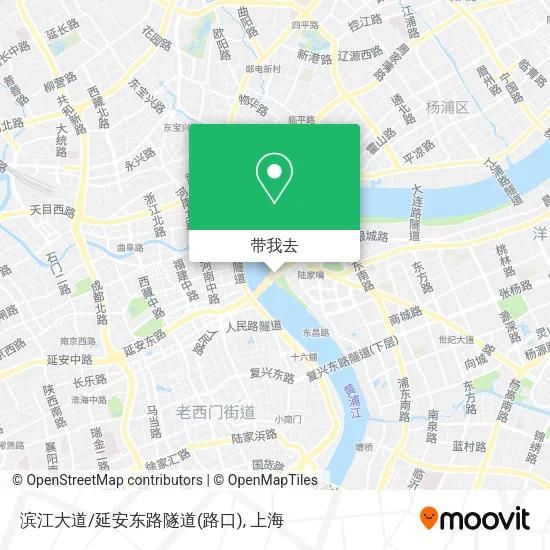 滨江大道/延安东路隧道(路口)地图