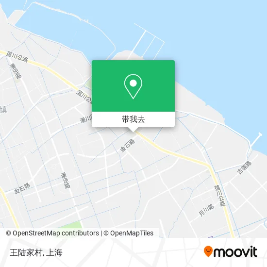王陆家村地图