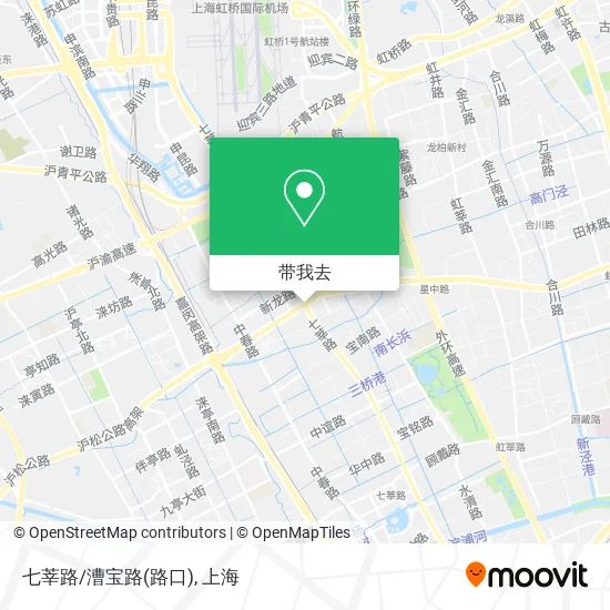 七莘路/漕宝路(路口)地图