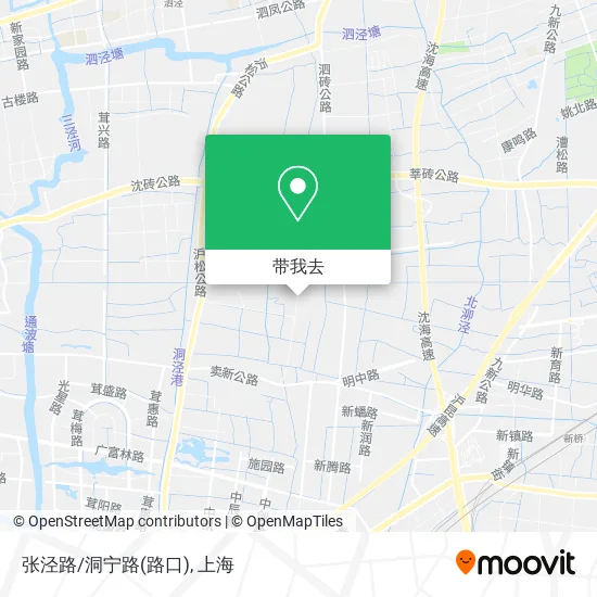 张泾路/洞宁路(路口)地图