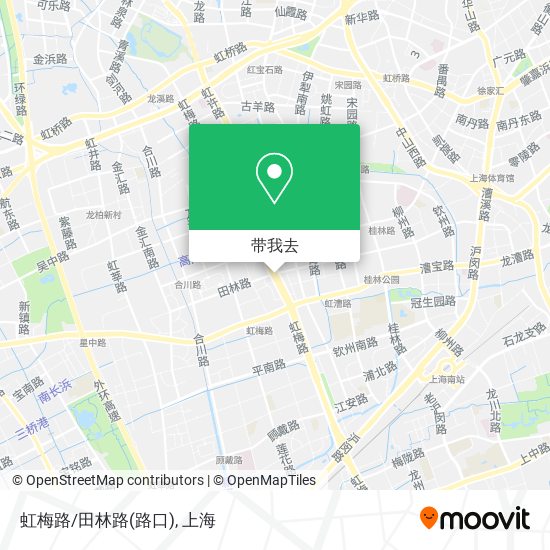 虹梅路/田林路(路口)地图
