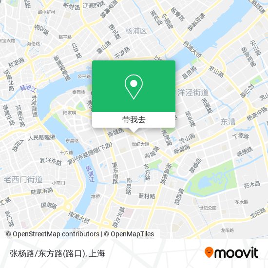 张杨路/东方路(路口)地图