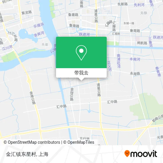 金汇镇东星村地图
