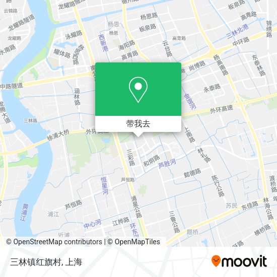 三林镇红旗村地图
