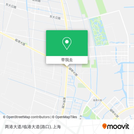 两港大道/临港大道(路口)地图