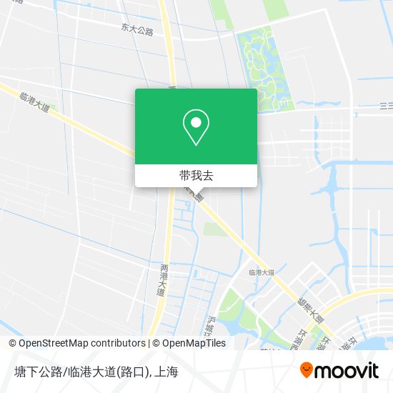 塘下公路/临港大道(路口)地图