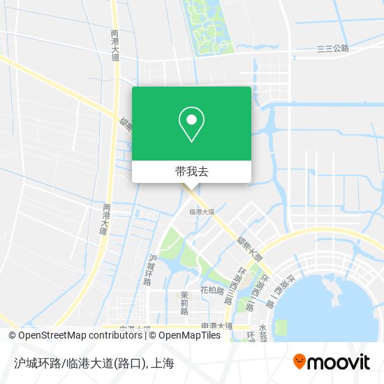 沪城环路/临港大道(路口)地图