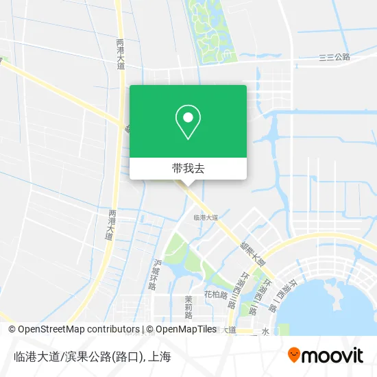 临港大道/滨果公路(路口)地图