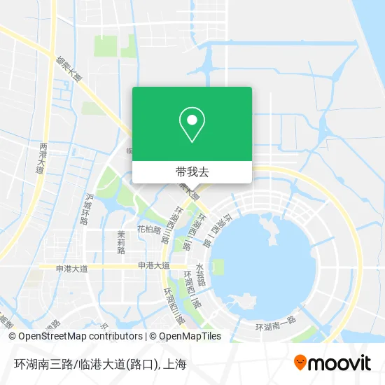 环湖南三路/临港大道(路口)地图
