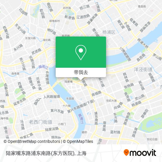 陆家嘴东路浦东南路(东方医院)地图