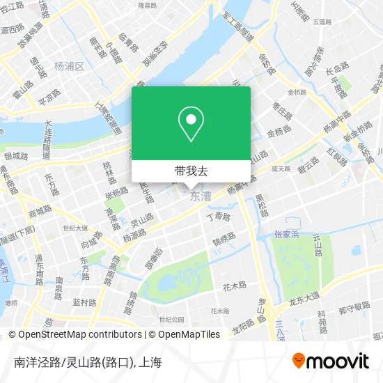 南洋泾路/灵山路(路口)地图