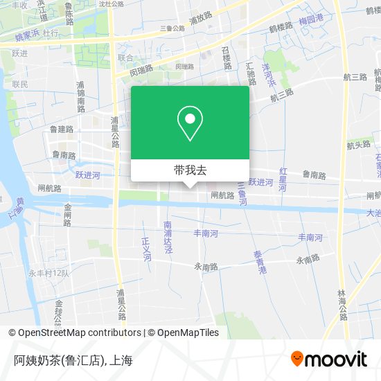 阿姨奶茶(鲁汇店)地图