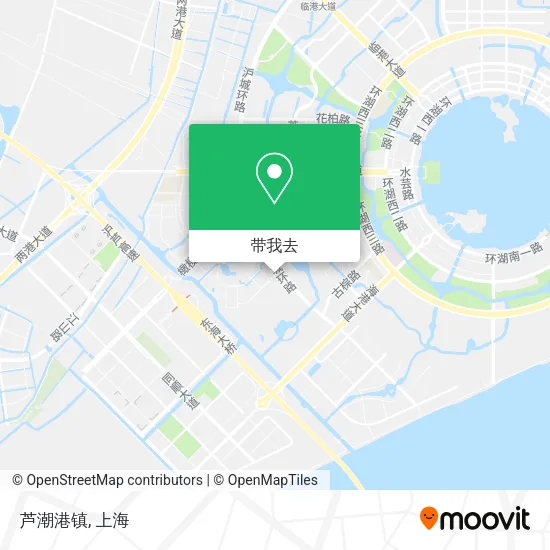 芦潮港镇地图