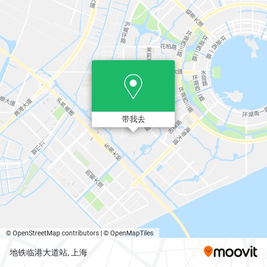 地铁临港大道站地图