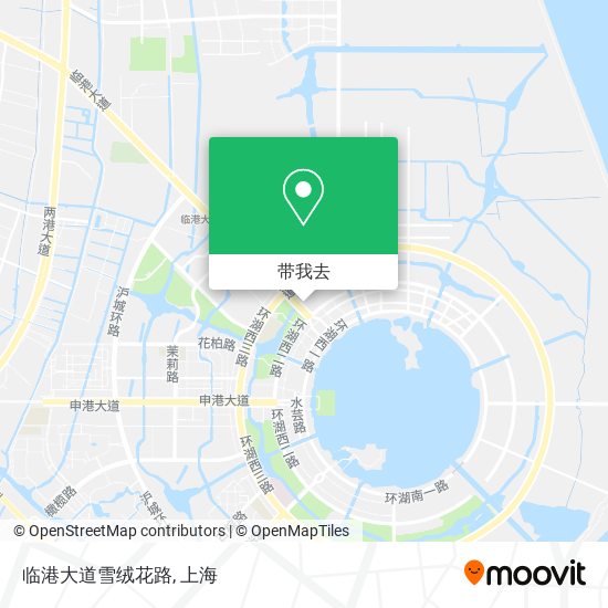 临港大道雪绒花路地图