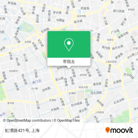 虹漕路421号地图