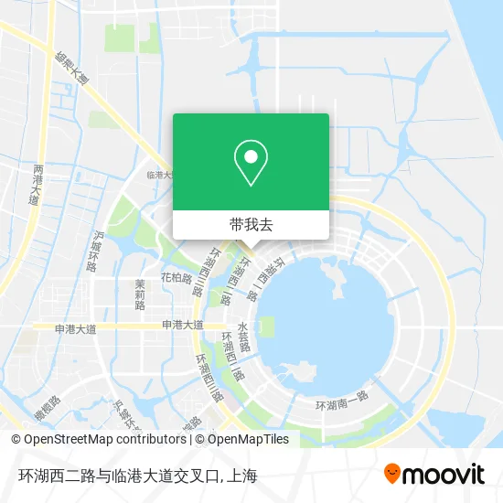环湖西二路与临港大道交叉口地图