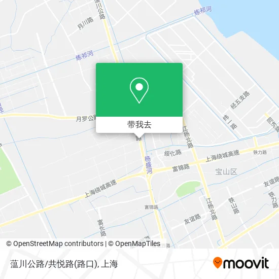 蕰川公路/共悦路(路口)地图