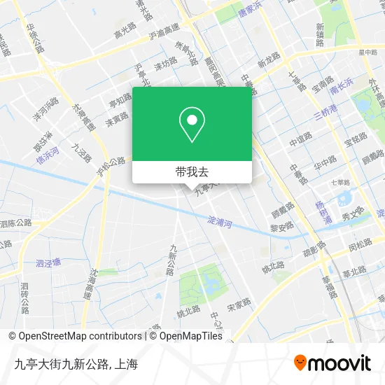 九亭大街九新公路地图