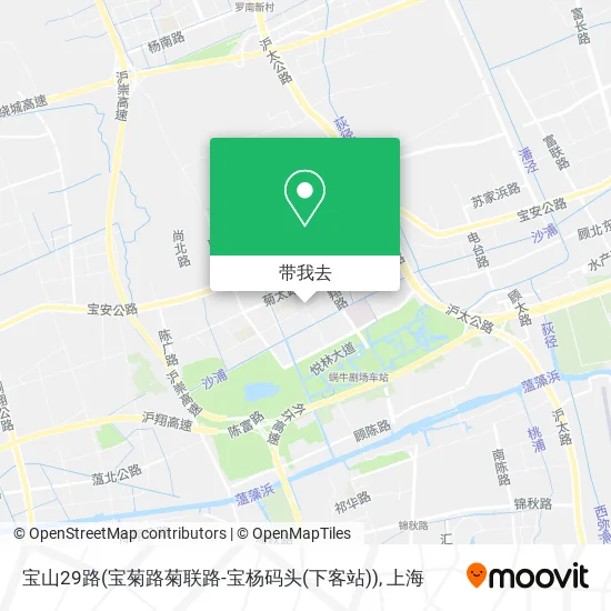 宝山29路(宝菊路菊联路-宝杨码头(下客站))地图