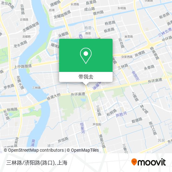 三林路/济阳路(路口)地图