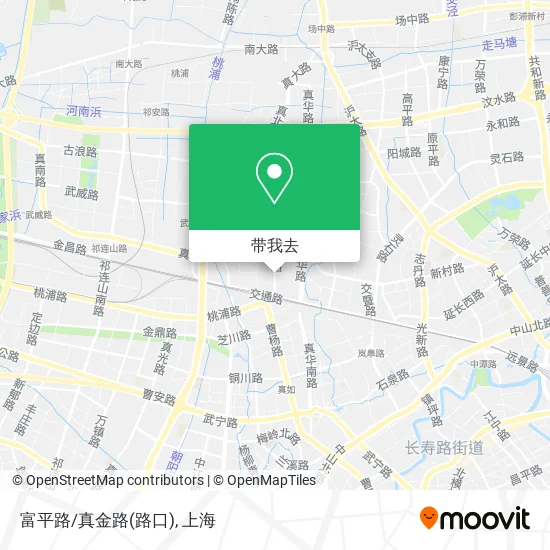 富平路/真金路(路口)地图