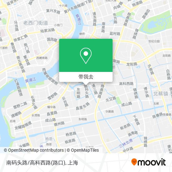 南码头路/高科西路(路口)地图