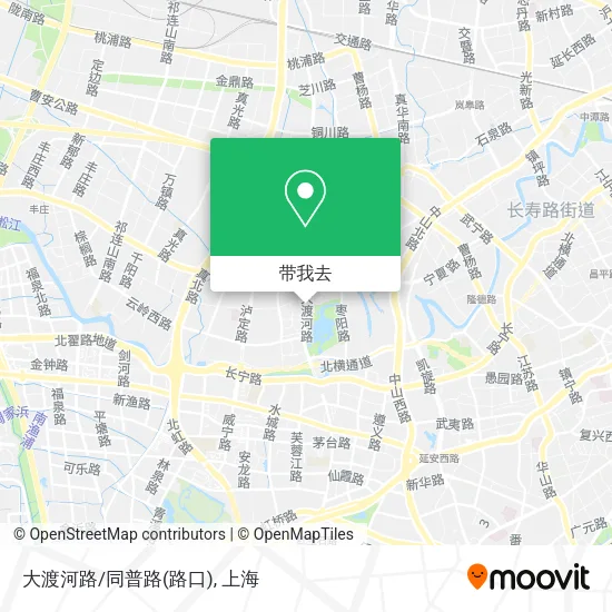 大渡河路/同普路(路口)地图