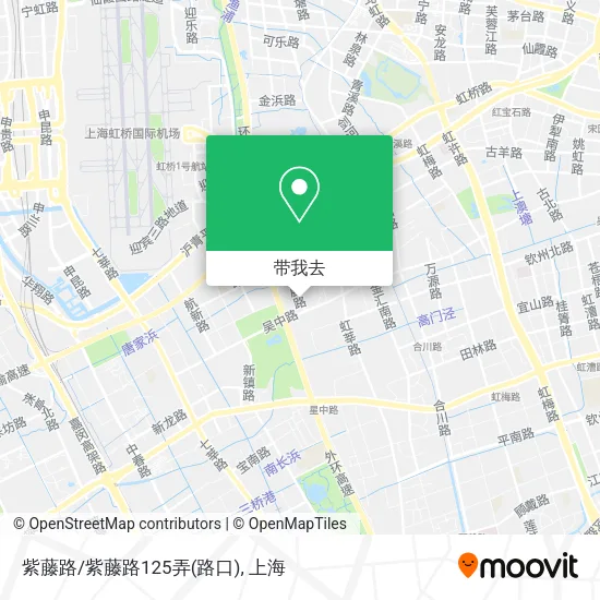 紫藤路/紫藤路125弄(路口)地图