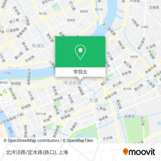 北洋泾路/定水路(路口)地图